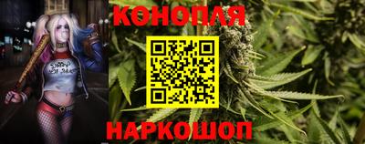 сатива Кунгур