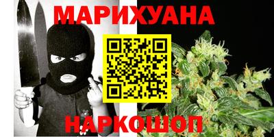 сатива Кунгур