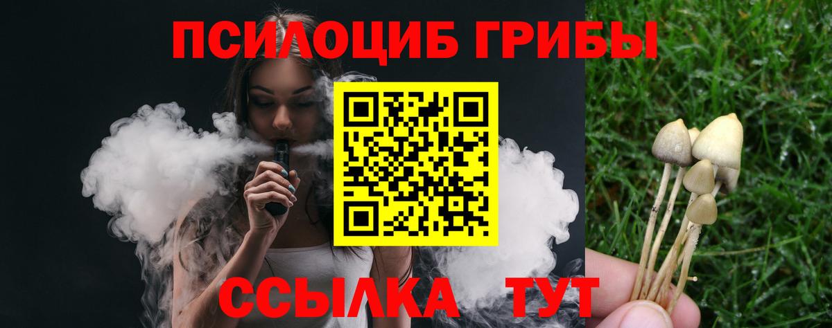 Галлюциногенные грибы GOLDEN TEACHER  закладка  Вход с VPN  Елец  Псилоцибиновые грибы Cubensis 